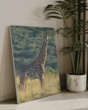 لوحة كانفاس ٦