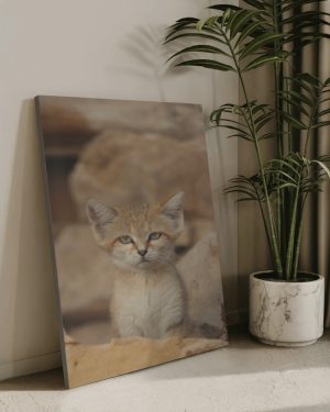 لوحة كانفاس ١