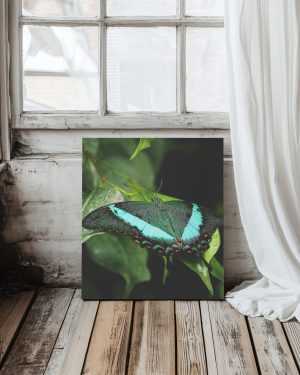 لوحة كانفاس ٤