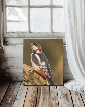 لوحة كانفاس ٢